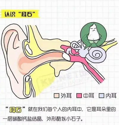 調(diào)整大小 微信圖片_20230804155753.png